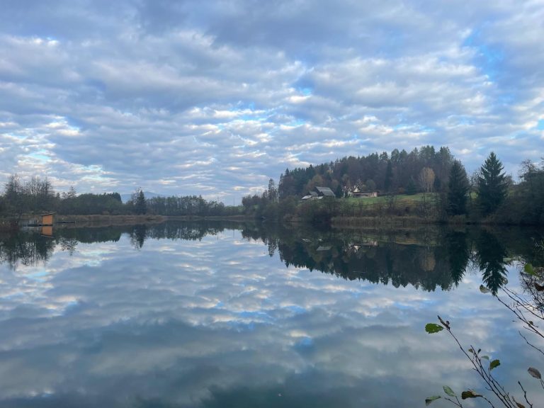 WhatsApp Image 2026-01-26 at 13.56.11